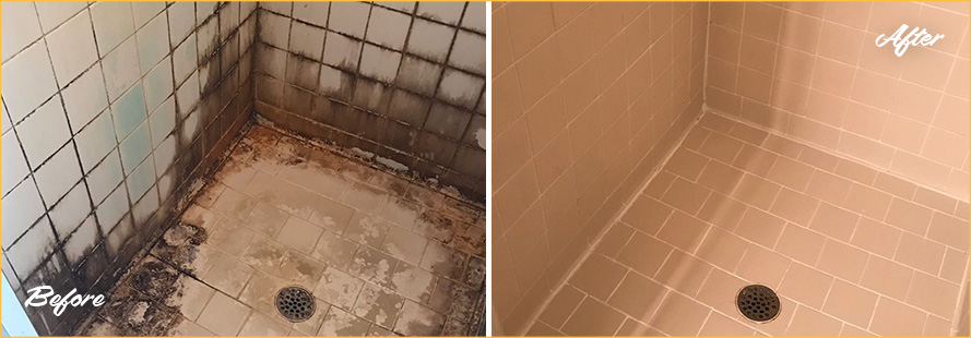 Picture of Tile Shower Plagued with Mold and Mildew Before and After Cleaning Grout and Tile