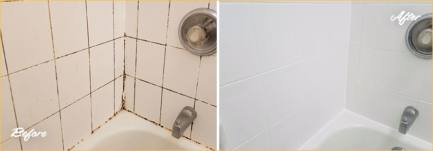 White Tile Tub Plagued with Mold